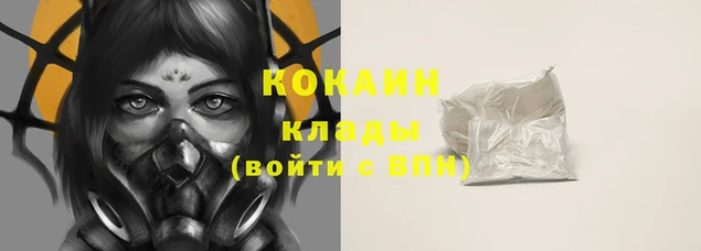 стаф Волосово