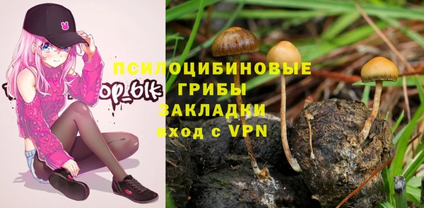 не бодяженный Верхний Тагил