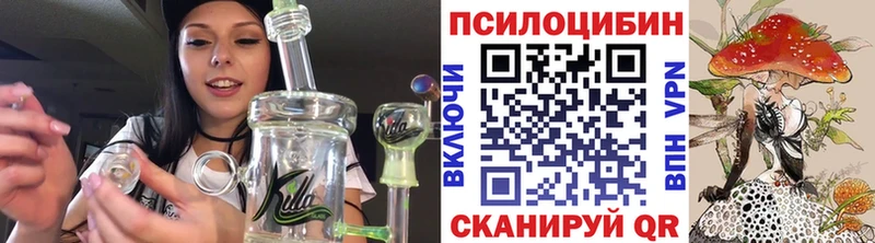 Галлюциногенные грибы мицелий  купить закладку  Елизово 